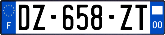 DZ-658-ZT