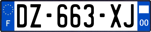 DZ-663-XJ