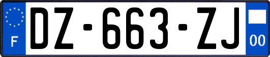 DZ-663-ZJ