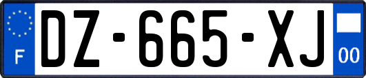 DZ-665-XJ