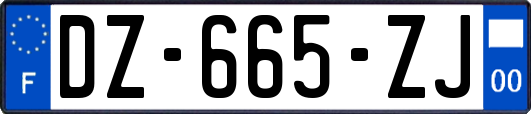 DZ-665-ZJ