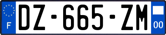 DZ-665-ZM