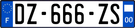 DZ-666-ZS