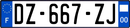 DZ-667-ZJ