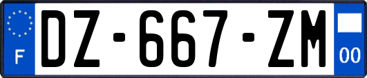 DZ-667-ZM