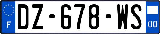 DZ-678-WS