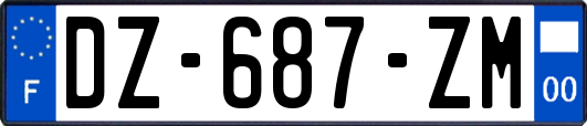 DZ-687-ZM