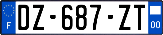 DZ-687-ZT