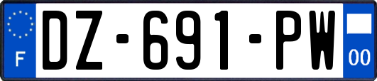 DZ-691-PW