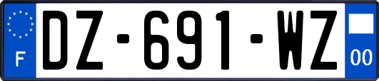 DZ-691-WZ