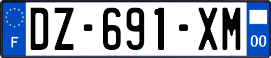 DZ-691-XM