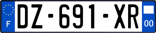 DZ-691-XR