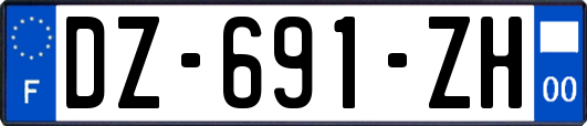 DZ-691-ZH