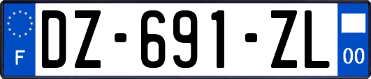 DZ-691-ZL