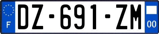 DZ-691-ZM