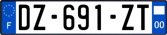 DZ-691-ZT