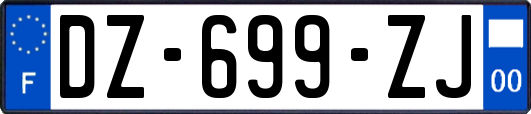 DZ-699-ZJ