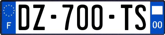 DZ-700-TS