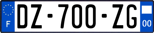 DZ-700-ZG