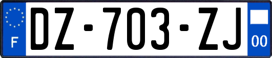 DZ-703-ZJ