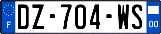 DZ-704-WS