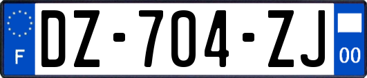 DZ-704-ZJ