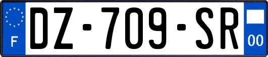 DZ-709-SR