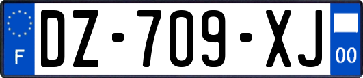 DZ-709-XJ