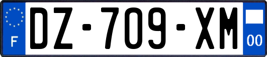 DZ-709-XM