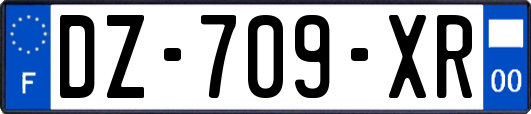 DZ-709-XR