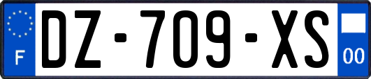 DZ-709-XS