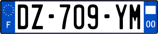 DZ-709-YM