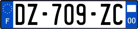 DZ-709-ZC