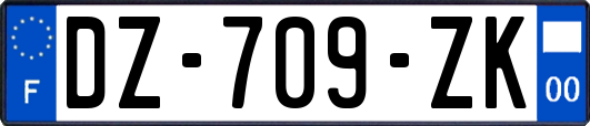 DZ-709-ZK