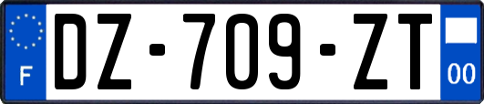 DZ-709-ZT