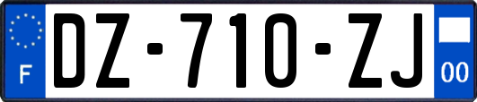 DZ-710-ZJ