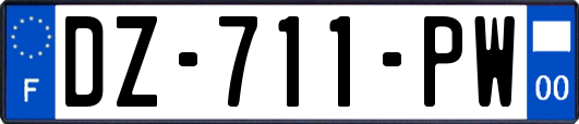 DZ-711-PW