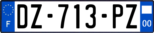 DZ-713-PZ