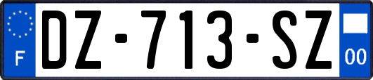 DZ-713-SZ