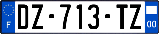 DZ-713-TZ