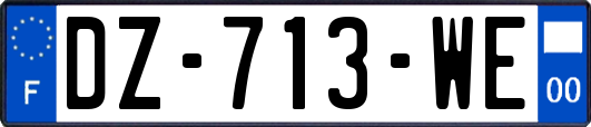 DZ-713-WE