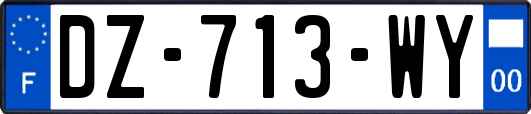 DZ-713-WY