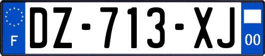 DZ-713-XJ