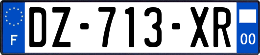 DZ-713-XR