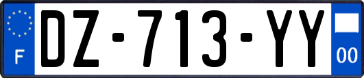 DZ-713-YY