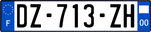 DZ-713-ZH