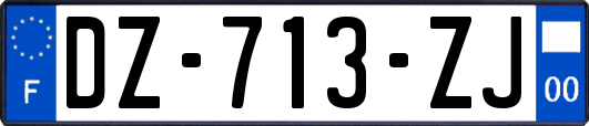 DZ-713-ZJ