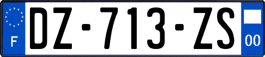 DZ-713-ZS