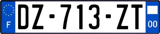 DZ-713-ZT