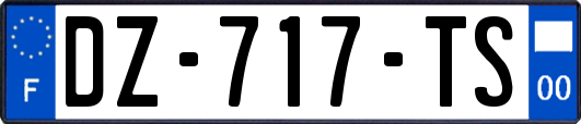 DZ-717-TS